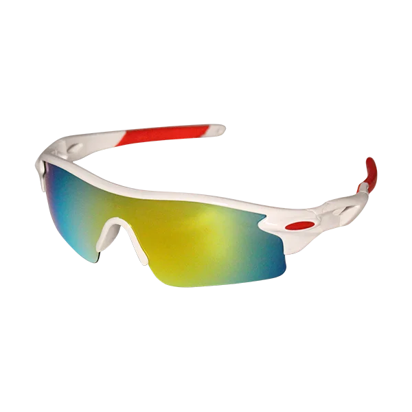 hollandbikeshop3-1484262